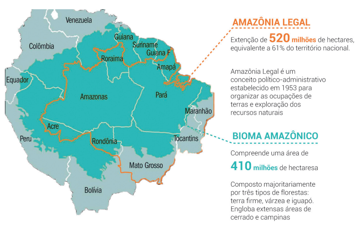 Regionalização Brasileira Amazônia